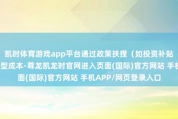 凯时体育游戏app平台通过政策扶捏(如投资补贴、税收优惠)缩短转型成本-尊龙凯龙时官网进入页面(国际)官方网站 手机APP/网页登录入口